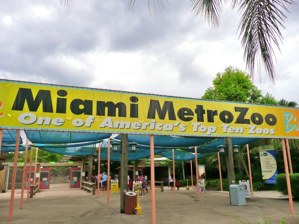 Miami_MetroZoo.jpg