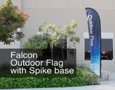 Falcon Flag